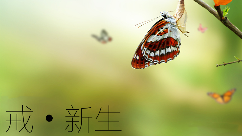 戒色断欲过程中自我康复的修养方法.png